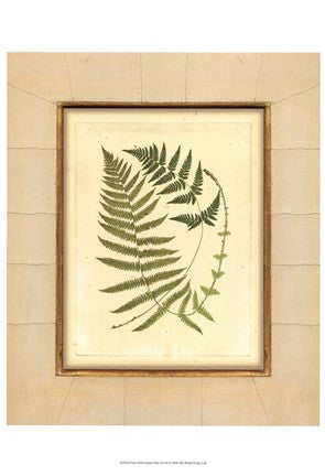 Fern with Crackle Mat (H) III