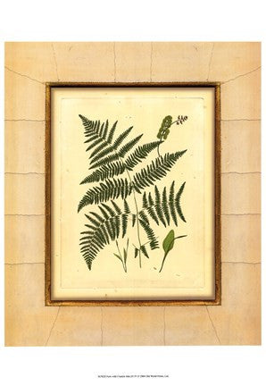 Fern with Crackle Mat (H) IV