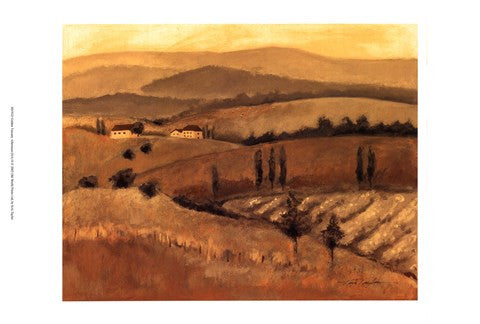 Golden Tuscany Afternoon II