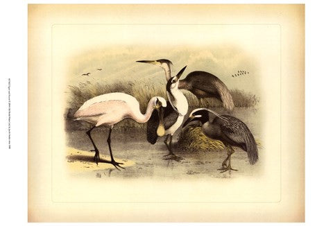 Egret & Heron