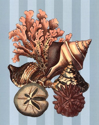 Shell and Coral on Aqua I