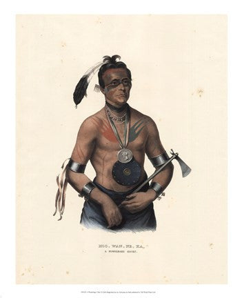 A Winnebago Chief