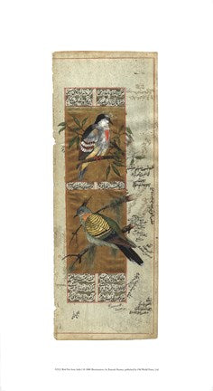 Bird Pair from India I