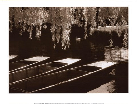 Punts on the River Cam, Cambridge