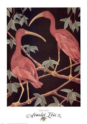 Scarlet Ibis 2