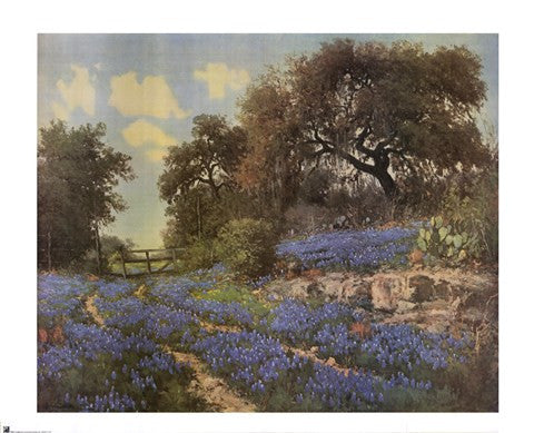 Blue Bonnet Trail