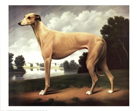 Greyhound in a Parkland Landscape