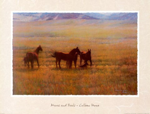 Mares and Foals