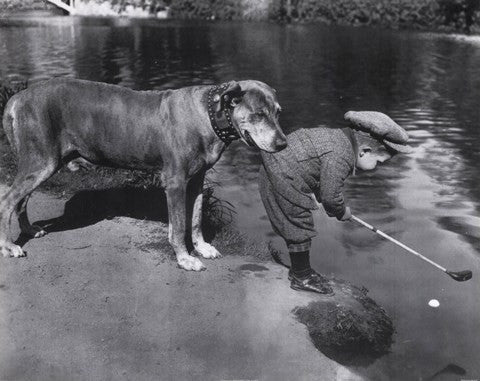 Retrieving The Ball