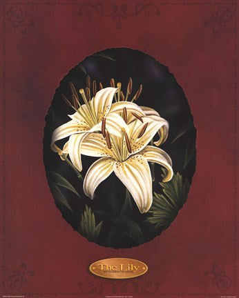 The Lily I