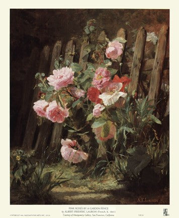 Pink Roses by a Garden Fence