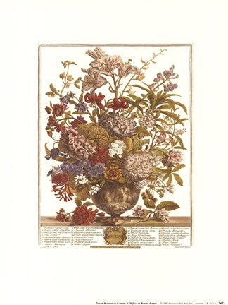 July-Twelve Months of Flowers, 1730