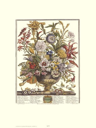 September-Twelve Months of Flowers, 1730