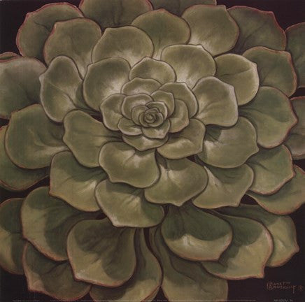 Succulent I