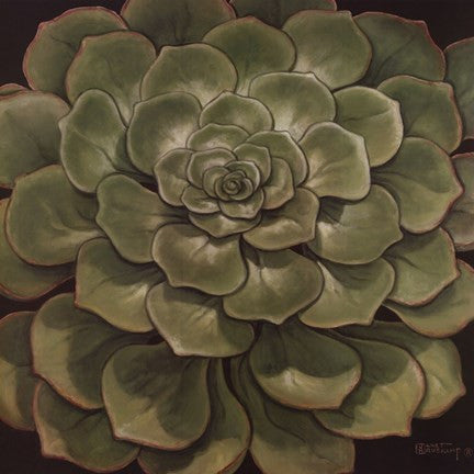 Succulent I