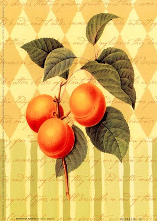 Botanical Apricot