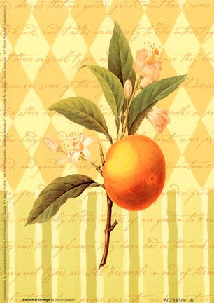 Botanical Orange