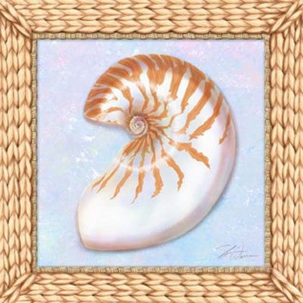 Seashell I