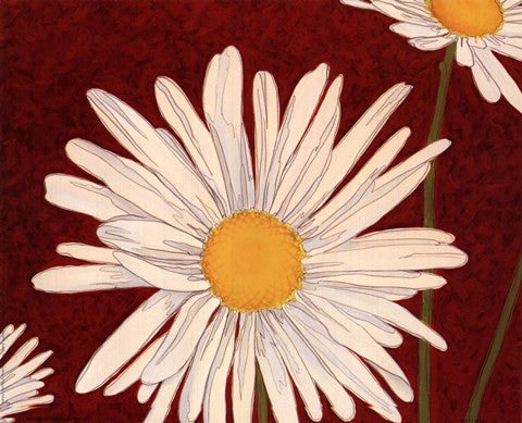 White Daisy On Red