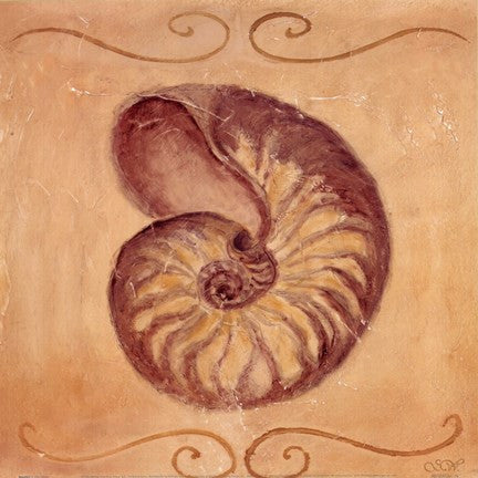 Nautilus