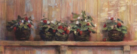 Strawberries in Pots