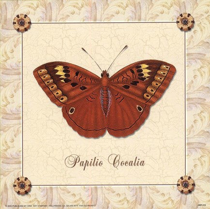 Papilio Cocalia