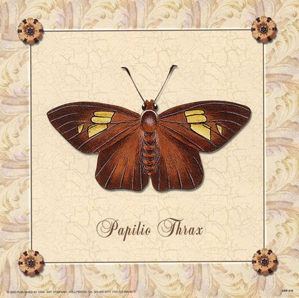 Papilio Thrax