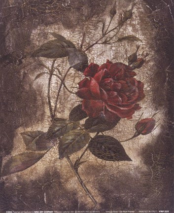 Vintage Rose II (Sm)