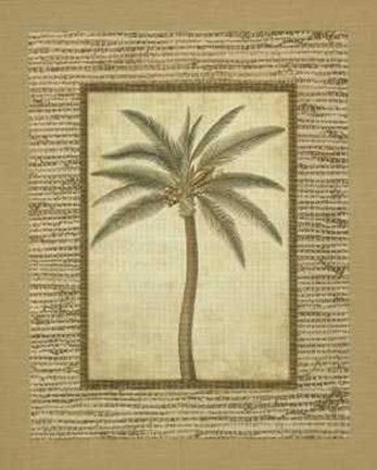 Date Palm