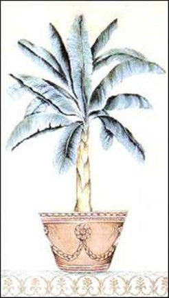 Palm Topiary II