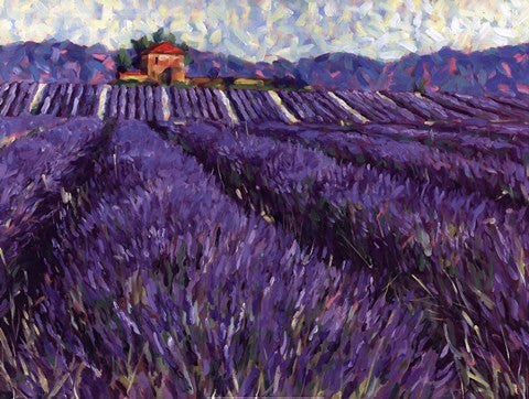 Lavender Fields I