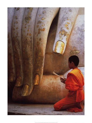 The Hand of Buddha