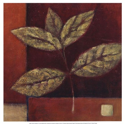 Crimson Leaf Study II