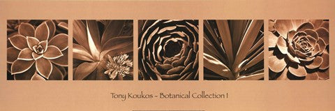 Botanical Collection I