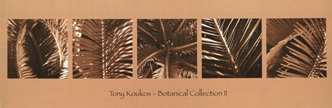 Botanical Collection II