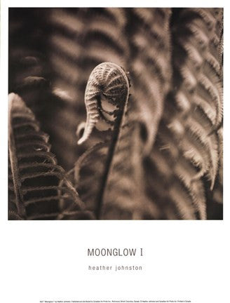 Moonglow I