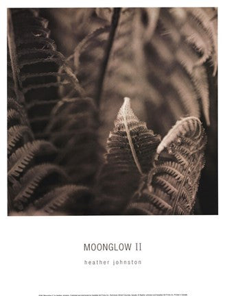 Moonglow II