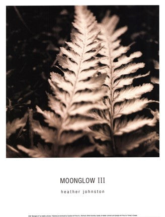 Moonglow III