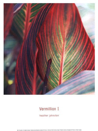 Vermillion I