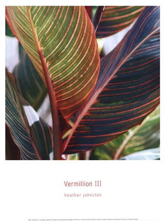 Vermillion III