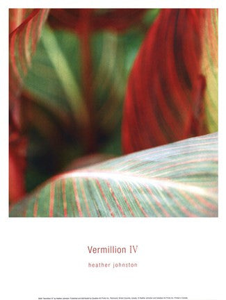 Vermillion IV