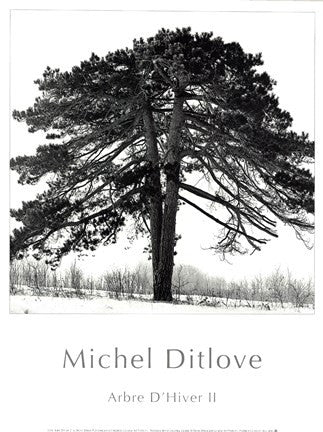 Arbres D'Hivers II