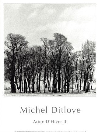 Arbres D'Hivers III