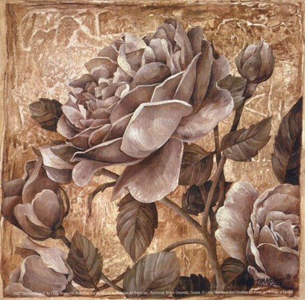 Antique Rose II