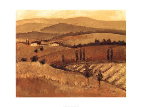 Golden Tuscany Afternoon II