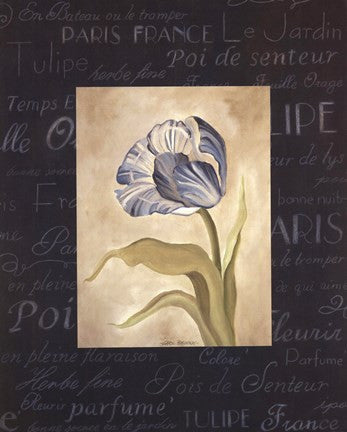 Tulipe Bleue II