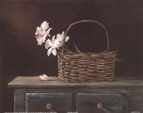 Orchid Basket