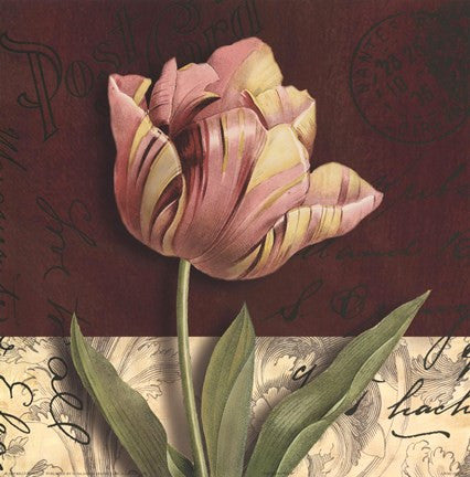 Postcard Tulip