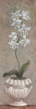 Lavish Orchids II