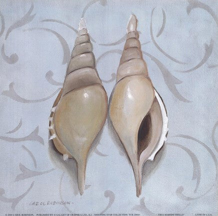 Tibia Martinie Shells